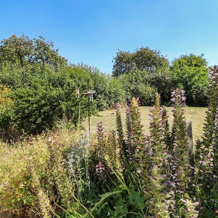 Hops Cottage Ashbourne  Buitenkant foto