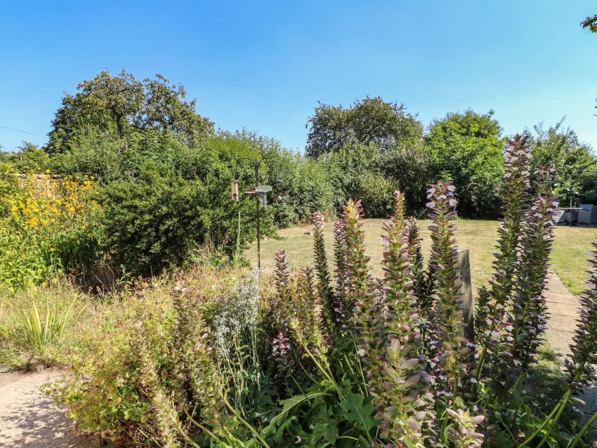Hops Cottage Ashbourne  Buitenkant foto